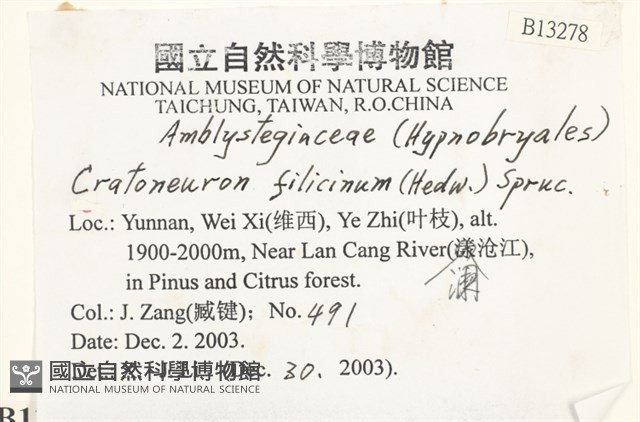 登錄號:B00013278藏品圖，第2張