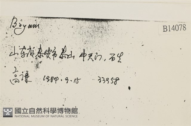 登錄號:B00014078藏品圖，第2張