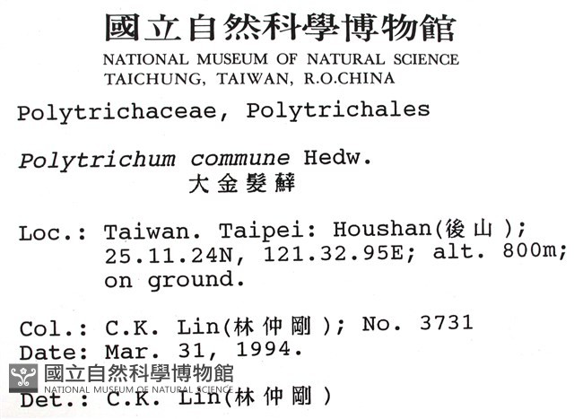 金髮蘚藏品圖，第2張