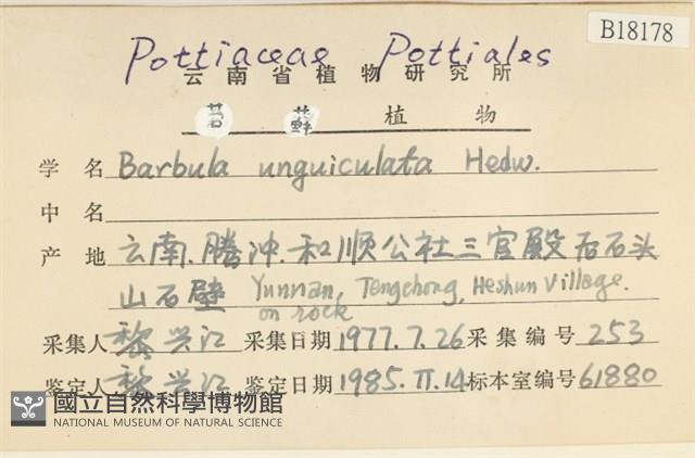 扭口蘚藏品圖，第2張