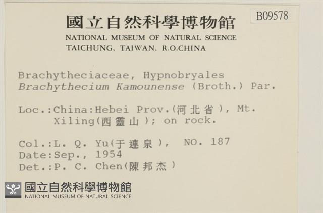 登錄號:B00009578藏品圖，第2張