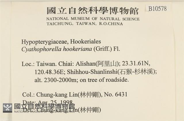 登錄號:B00010578藏品圖，第2張