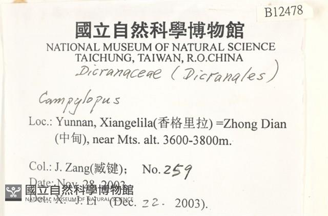 登錄號:B00012478藏品圖，第2張