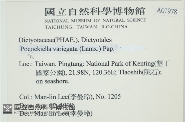 登錄號:A00001978藏品圖，第2張