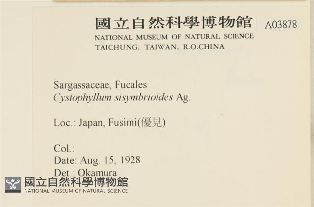 登錄號:A00003878藏品圖，第2張