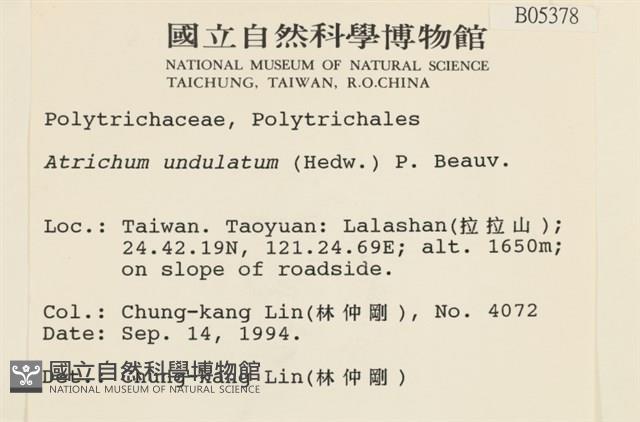 仙鶴蘚藏品圖，第2張