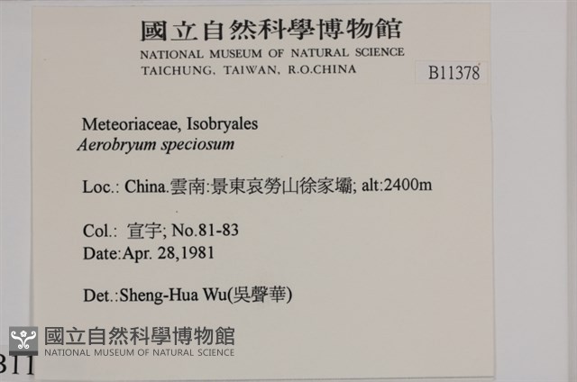 登錄號:B00011378藏品圖，第2張