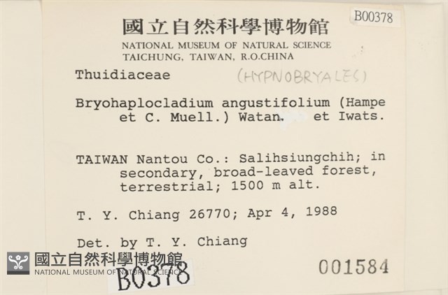 登錄號:B00000378藏品圖，第2張
