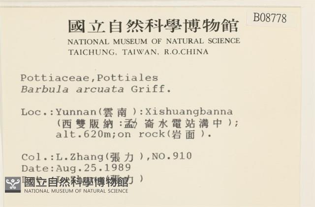 登錄號:B00008778藏品圖，第2張