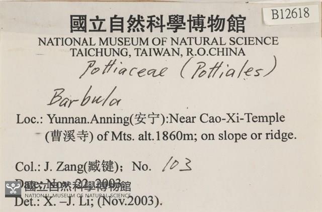 登錄號:B00012618藏品圖，第2張