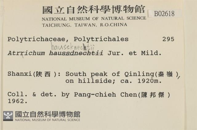 仙鶴蘚藏品圖，第2張