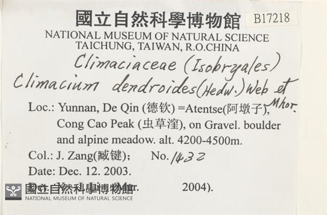 登錄號:B00017218藏品圖，第2張