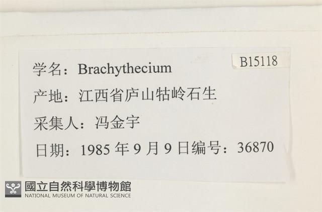登錄號:B00015118藏品圖，第2張