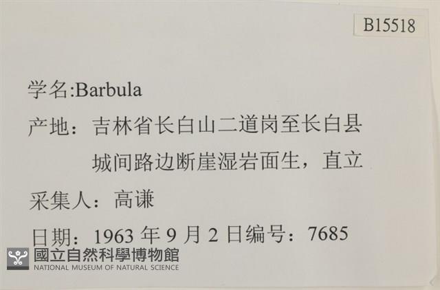 登錄號:B00015518藏品圖，第2張