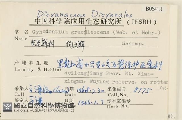 狗芽蘚藏品圖，第2張