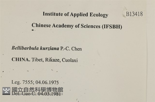 登錄號:B00013418藏品圖，第2張