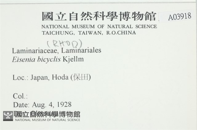 登錄號:A00003918藏品圖，第2張