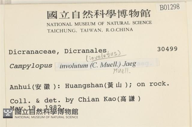 登錄號:B00001298藏品圖，第2張