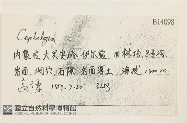 登錄號:B00014098藏品圖，第2張