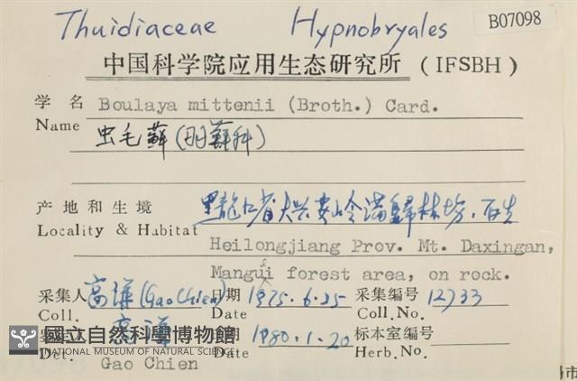 蟲毛蘚藏品圖，第2張