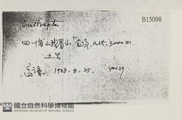 登錄號:B00015098藏品圖，第2張