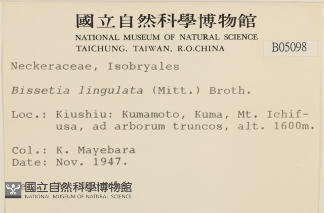 登錄號:B00005098藏品圖，第2張