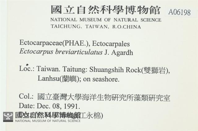 登錄號:A00006198藏品圖，第2張