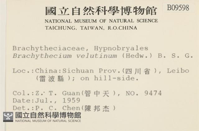 登錄號:B00009598藏品圖，第2張