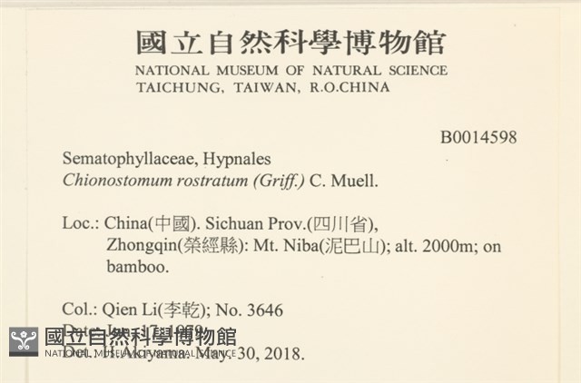 花錦蘚藏品圖，第2張