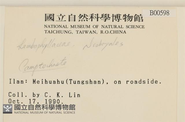 登錄號:B00000598藏品圖，第2張