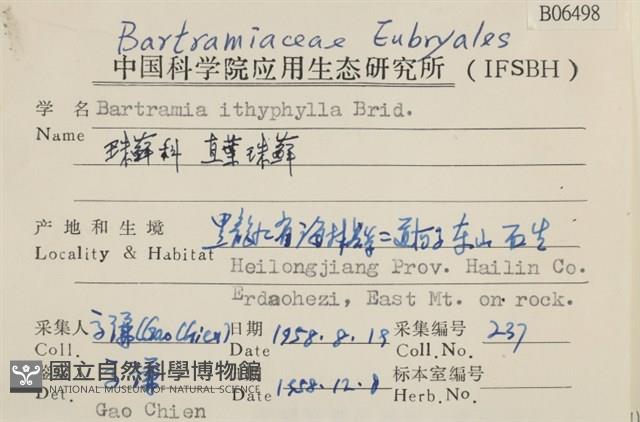 直葉珠蘚藏品圖，第2張