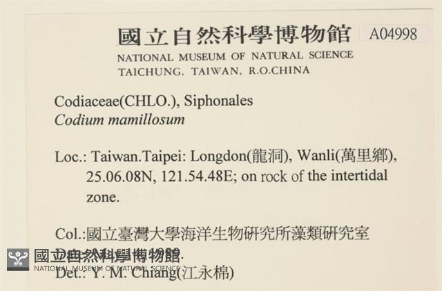 登錄號:A00004998藏品圖，第2張