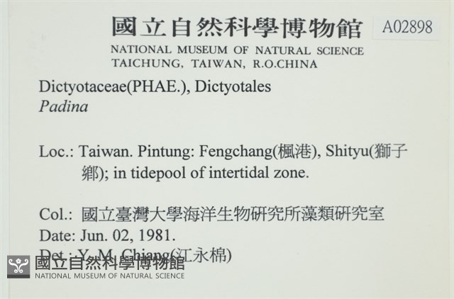 登錄號:A00002898藏品圖，第2張
