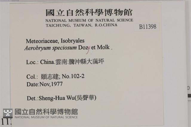 登錄號:B00011398藏品圖，第2張