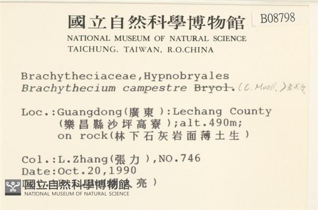 登錄號:B00008798藏品圖，第2張