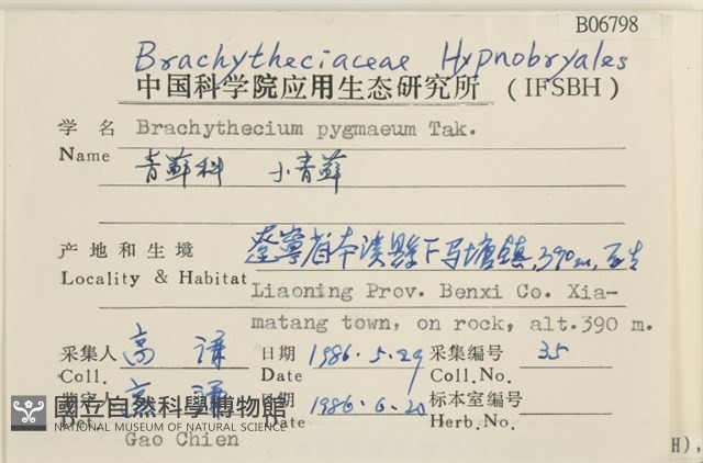 小青蘚藏品圖，第2張