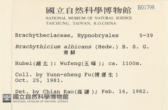 白青蘚藏品圖，第2張