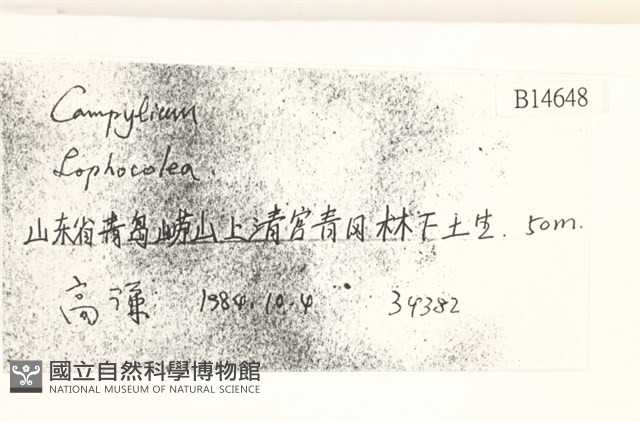 登錄號:B00014648藏品圖，第2張
