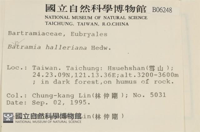 登錄號:B00006248藏品圖，第2張