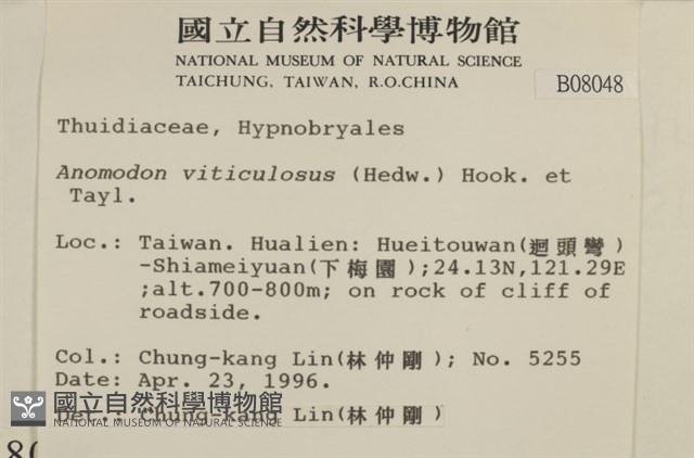 登錄號:B00008048藏品圖，第2張