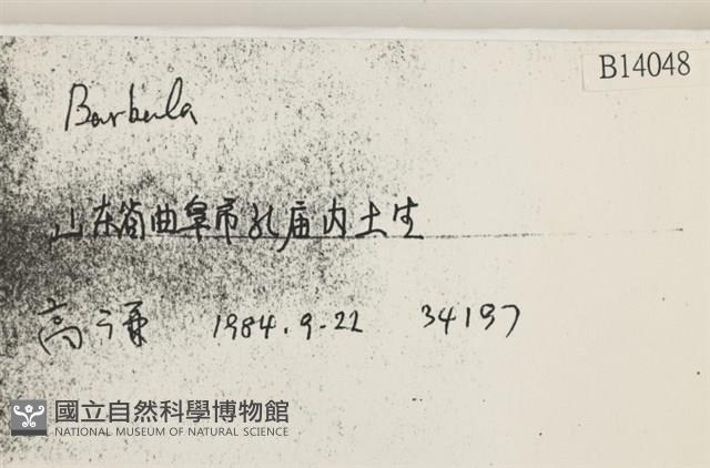 登錄號:B00014048藏品圖，第2張