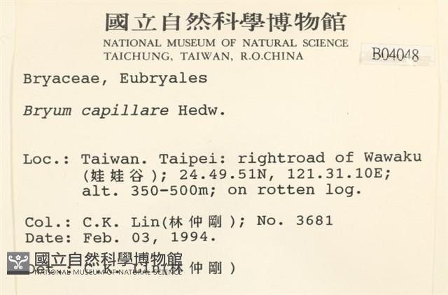 細葉真蘚藏品圖，第2張