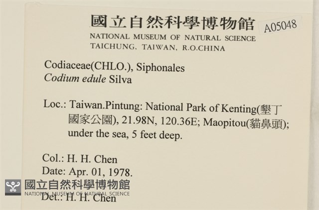 登錄號:A00005048藏品圖，第2張