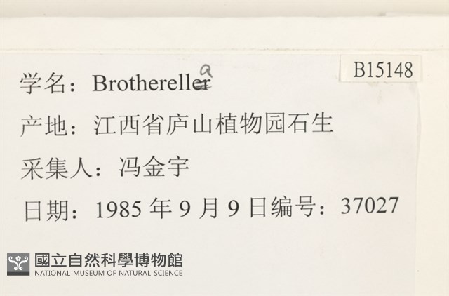登錄號:B00015148藏品圖，第2張