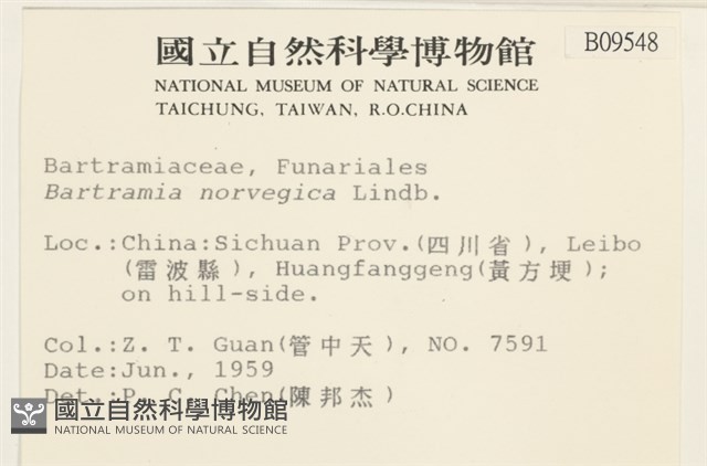 挪威珠蘚藏品圖，第2張
