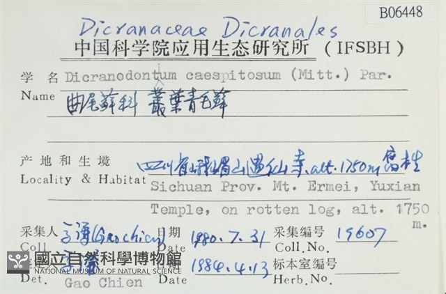叢葉青毛蘚藏品圖，第2張