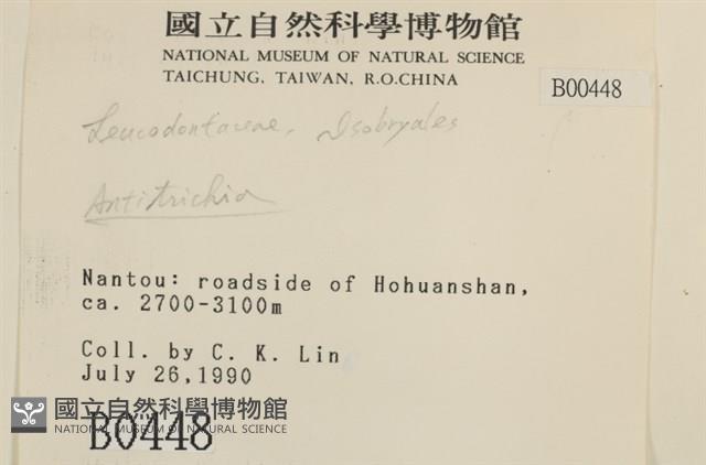 登錄號:B00000448藏品圖，第2張