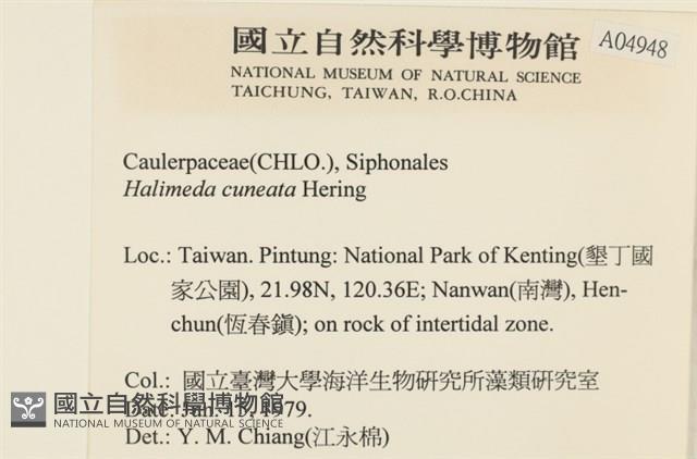 登錄號:A00004948藏品圖，第2張