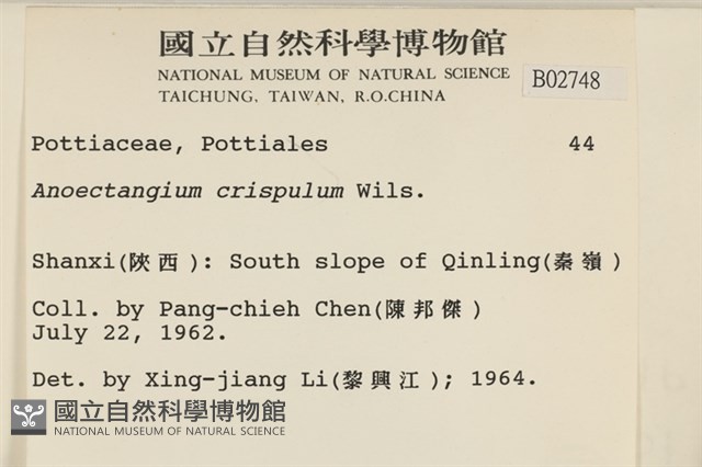 卷葉叢本蘚藏品圖，第2張