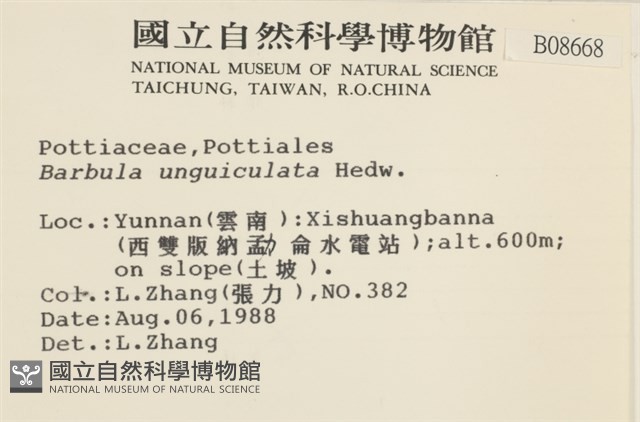 扭口蘚藏品圖，第2張